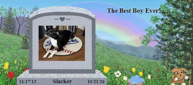 Slacker's Rainbow Bridge Pet Loss Memorial Residency Image