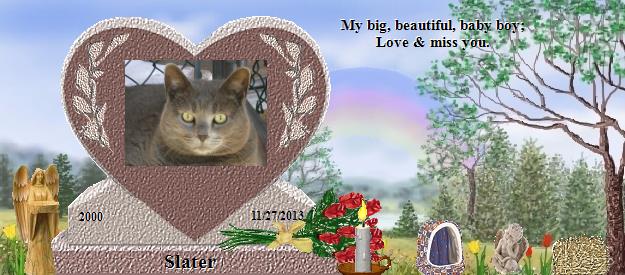 Slater's Rainbow Bridge Pet Loss Memorial Residency Image