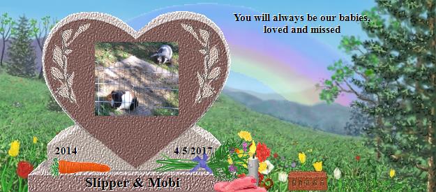 Slipper & Mobi's Rainbow Bridge Pet Loss Memorial Residency Image