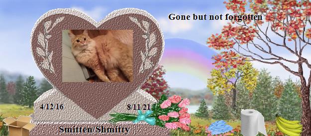 Smitten/Shmitty's Rainbow Bridge Pet Loss Memorial Residency Image