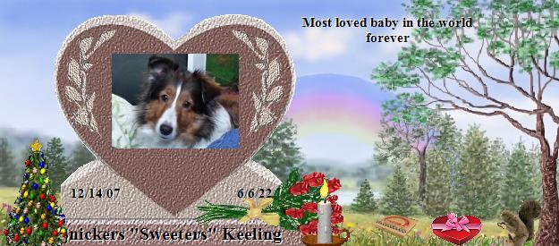 Snickers "Sweeters" Keeling's Rainbow Bridge Pet Loss Memorial Residency Image