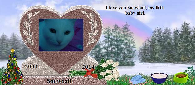 Snowball's Rainbow Bridge Pet Loss Memorial Residency Image