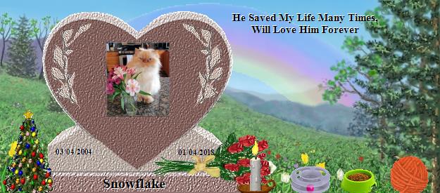 Snowflake's Rainbow Bridge Pet Loss Memorial Residency Image