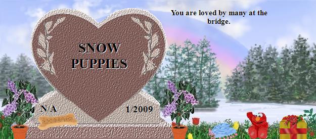SNOW PUPPIES's Rainbow Bridge Pet Loss Memorial Residency Image