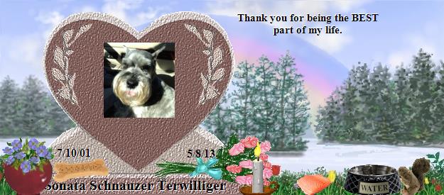 Sonata Schnauzer Terwilliger's Rainbow Bridge Pet Loss Memorial Residency Image
