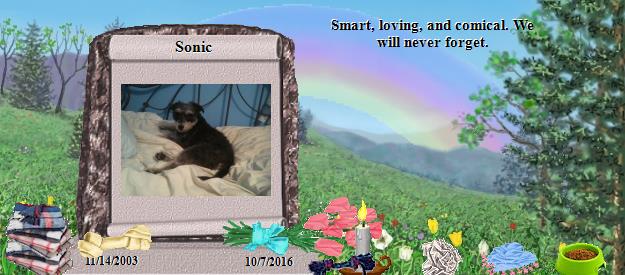 Sonic's Rainbow Bridge Pet Loss Memorial Residency Image