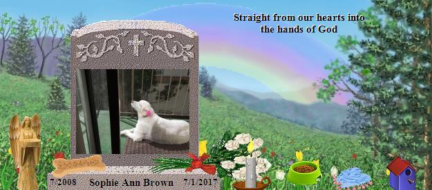 Sophie Ann Brown's Rainbow Bridge Pet Loss Memorial Residency Image
