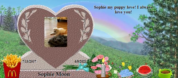 Sophie Moon's Rainbow Bridge Pet Loss Memorial Residency Image