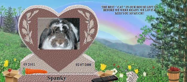 Spanky's Rainbow Bridge Pet Loss Memorial Residency Image