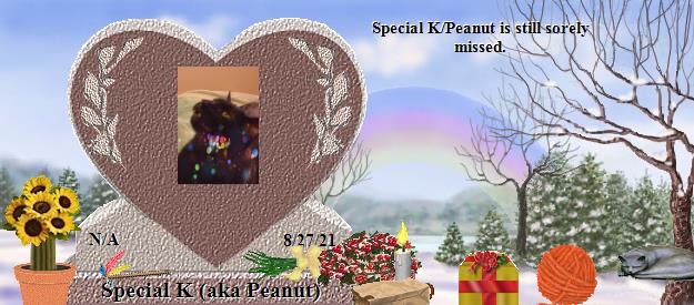 Special K (aka Peanut)'s Rainbow Bridge Pet Loss Memorial Residency Image