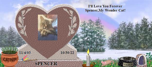 SPENCER's Rainbow Bridge Pet Loss Memorial Residency Image