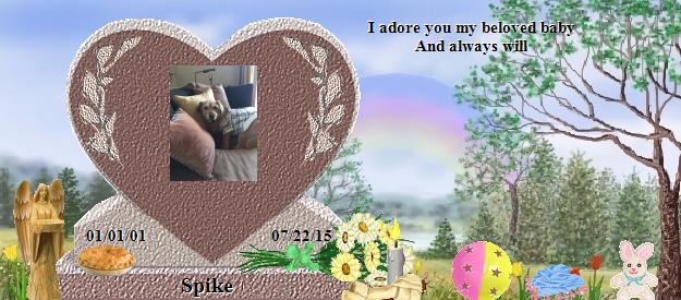 Spike's Rainbow Bridge Pet Loss Memorial Residency Image
