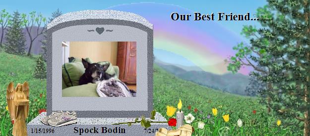 Spock Bodin's Rainbow Bridge Pet Loss Memorial Residency Image