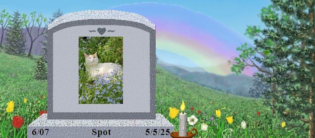 Spot's Rainbow Bridge Pet Loss Memorial Residency Image