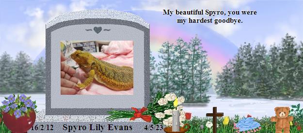 Spyro Lily Evans's Rainbow Bridge Pet Loss Memorial Residency Image