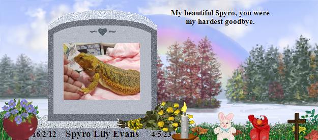 Spyro Lily Evans's Rainbow Bridge Pet Loss Memorial Residency Image