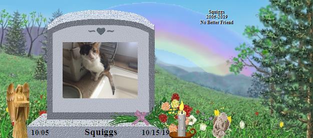 Squiggs's Rainbow Bridge Pet Loss Memorial Residency Image