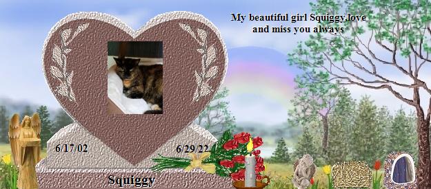 Squiggy's Rainbow Bridge Pet Loss Memorial Residency Image