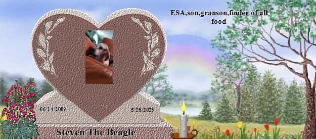 Steven The Beagle's Rainbow Bridge Pet Loss Memorial Residency Image