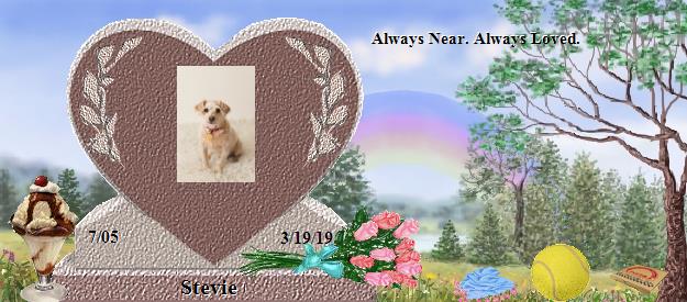 Stevie's Rainbow Bridge Pet Loss Memorial Residency Image