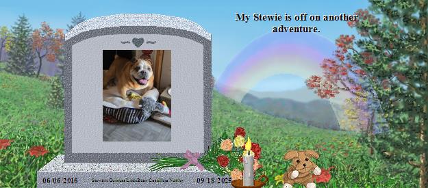 Stewart Guiness LittleBear Castilleja Nunley's Rainbow Bridge Pet Loss Memorial Residency Image