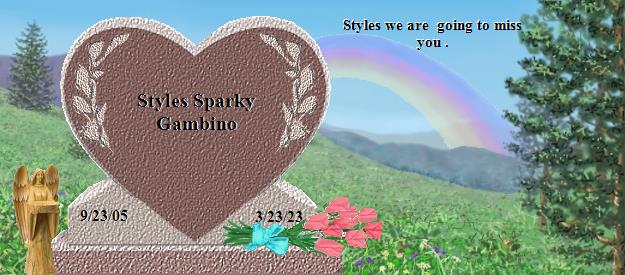 Styles Sparky Gambino's Rainbow Bridge Pet Loss Memorial Residency Image