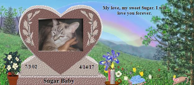 Sugar Baby's Rainbow Bridge Pet Loss Memorial Residency Image