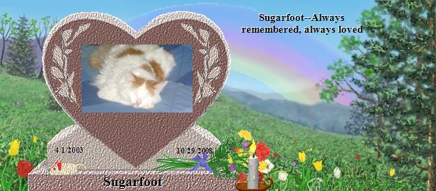 Sugarfoot's Rainbow Bridge Pet Loss Memorial Residency Image
