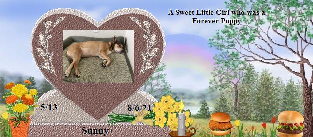 Sunny's Rainbow Bridge Pet Loss Memorial Residency Image