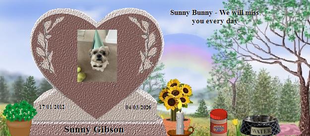 Sunny Gibson's Rainbow Bridge Pet Loss Memorial Residency Image