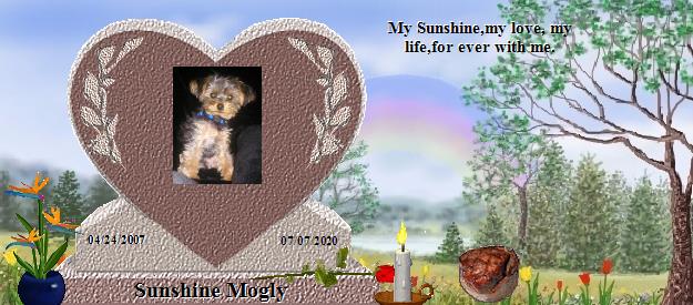 Sunshine Mogly's Rainbow Bridge Pet Loss Memorial Residency Image