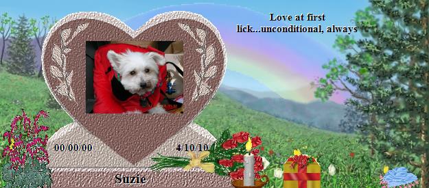 Suzie's Rainbow Bridge Pet Loss Memorial Residency Image