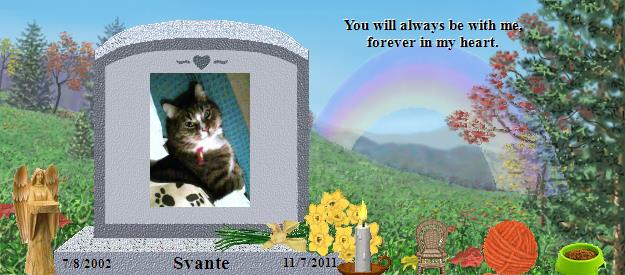 Svante's Rainbow Bridge Pet Loss Memorial Residency Image
