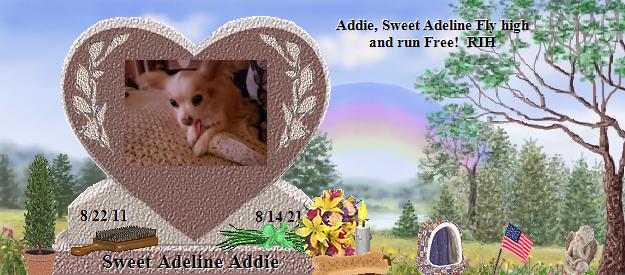 Sweet Adeline Addie's Rainbow Bridge Pet Loss Memorial Residency Image