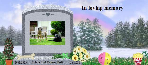 Sylvia and Tanner Poff's Rainbow Bridge Pet Loss Memorial Residency Image