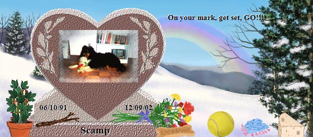 Scamp's Rainbow Bridge Pet Loss Memorial Residency Image