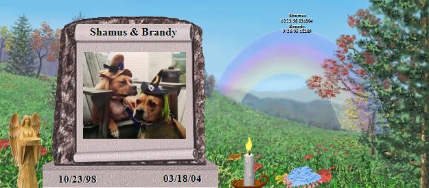 Shamus & Brandy's Rainbow Bridge Pet Loss Memorial Residency Image