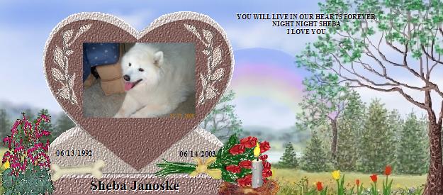 Sheba Janoske's Rainbow Bridge Pet Loss Memorial Residency Image