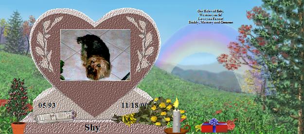 Shy's Rainbow Bridge Pet Loss Memorial Residency Image