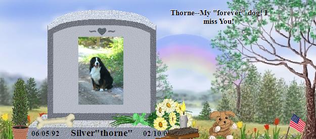 Silver"thorne"'s Rainbow Bridge Pet Loss Memorial Residency Image