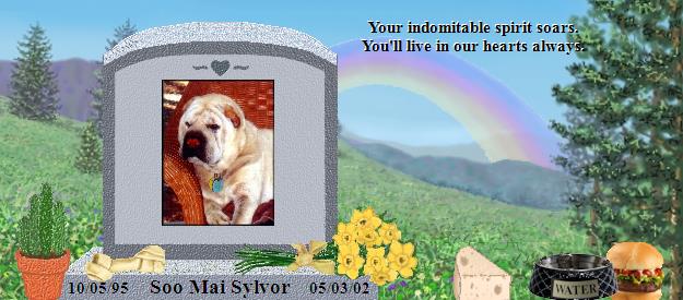 Soo Mai Sylvor's Rainbow Bridge Pet Loss Memorial Residency Image