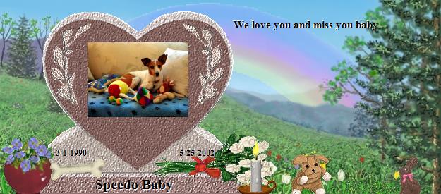 Speedo Baby's Rainbow Bridge Pet Loss Memorial Residency Image