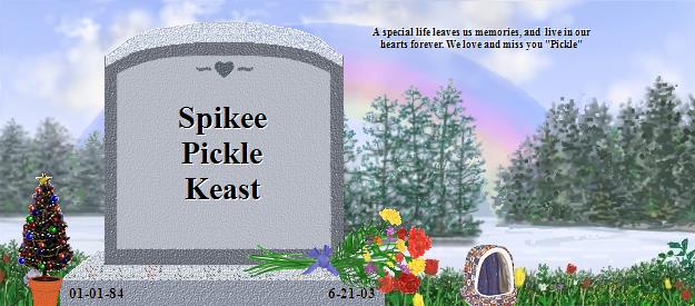 Spikee Pickle Keast's Rainbow Bridge Pet Loss Memorial Residency Image