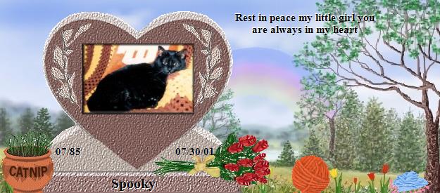 Spooky's Rainbow Bridge Pet Loss Memorial Residency Image