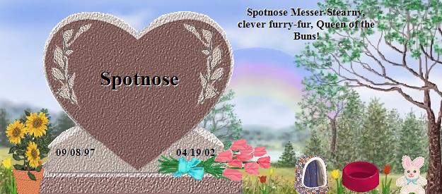 Spotnose's Rainbow Bridge Pet Loss Memorial Residency Image