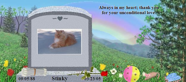 Stinky's Rainbow Bridge Pet Loss Memorial Residency Image