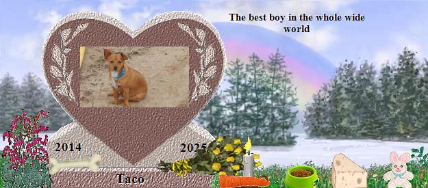 Taco's Rainbow Bridge Pet Loss Memorial Residency Image
