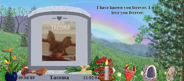 Tacoma's Rainbow Bridge Pet Loss Memorial Residency Image
