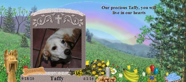 Taffy's Rainbow Bridge Pet Loss Memorial Residency Image