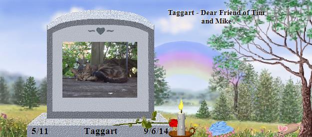 Taggart's Rainbow Bridge Pet Loss Memorial Residency Image